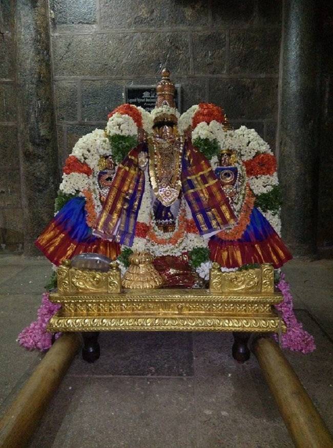 Thiruvahindrapuram Sri Devanathan Perumal Temple Manmadha Varusha Pirappu Purappadu3