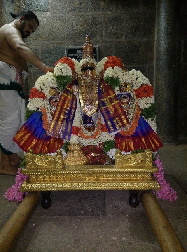Thiruvahindrapuram Sri Devanathan Perumal Temple Manmadha Varusha Pirappu Purappadu4