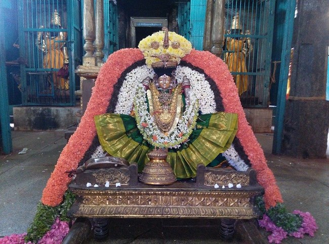 Thiruvahindrapuram Sri Devanathan Perumal Temple Panguni Uthiram Utsavam Commences4