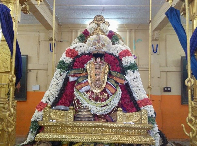 Thiruvahindrapuram Sri Devanathan Perumal Temple Sravana Purappadu2