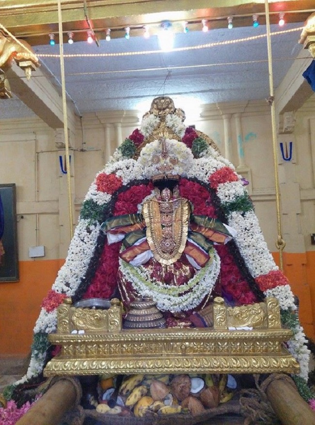 Thiruvahindrapuram Sri Devanathan Perumal Temple Sravana Purappadu3