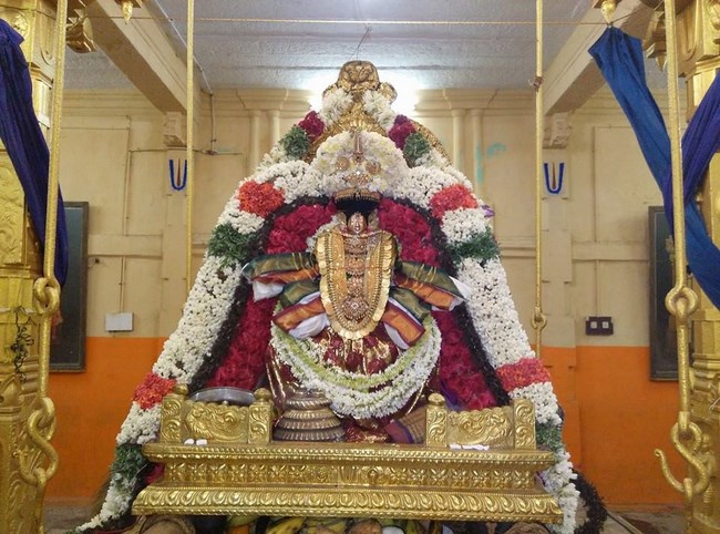 Thiruvahindrapuram Sri Devanathan Perumal Temple Sravana Purappadu4