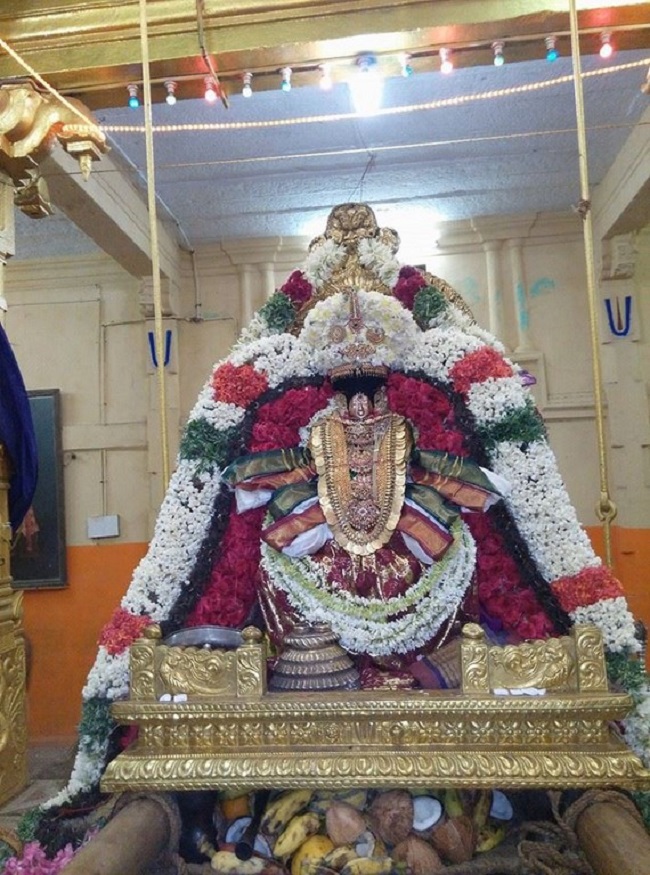 Thiruvahindrapuram Sri Devanathan Perumal Temple Sravana Purappadu5