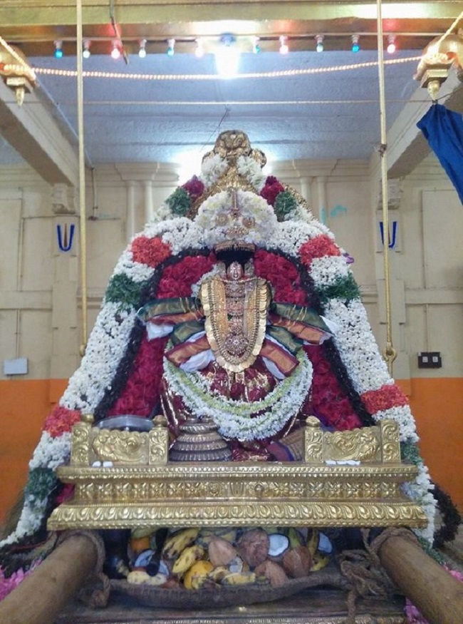 Thiruvahindrapuram Sri Devanathan Perumal Temple Sravana Purappadu6