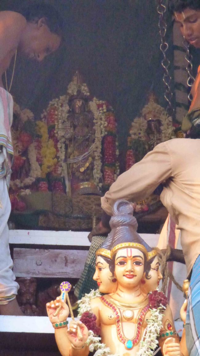 Thiruvali Thirunagari Perumal Thiruther 2015 -09