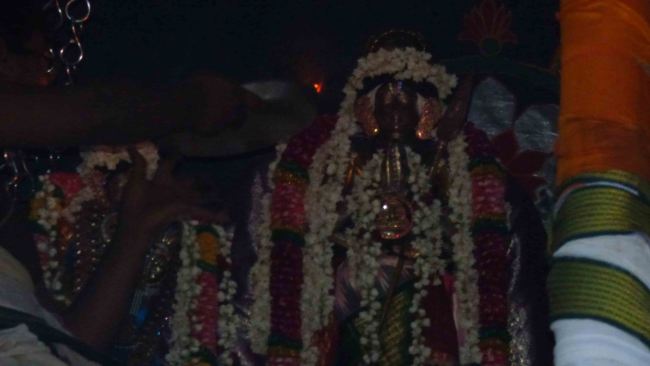 Thiruvali Thirunagari Thirumangai Azhwar Thiruther 2015 -19