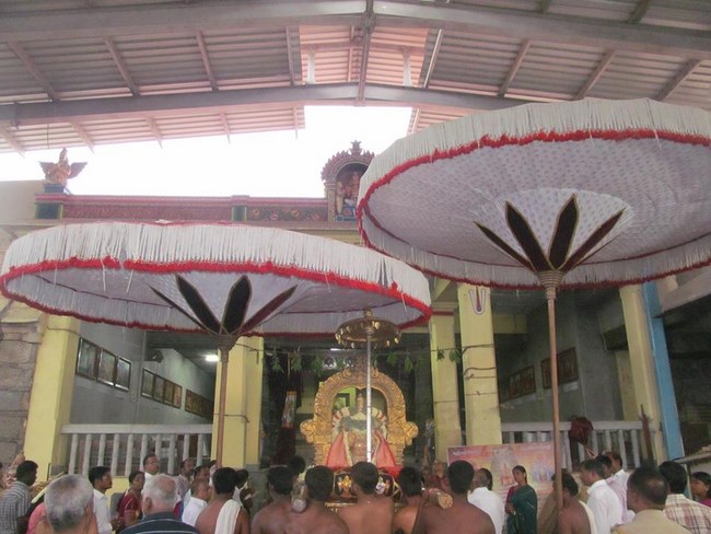 Thiruvallur Sri Veeraraghava Perumal Temple Chithirai Brahmotsavam Commences10