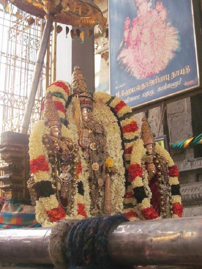Thiruvallur Sri Veeraraghava Perumal Temple Chithirai Brahmotsavam Commences33