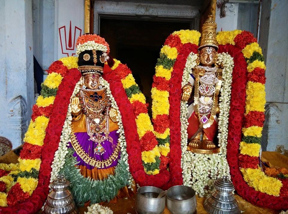 Thiruvallur_ sri veeraraghavaperumal (1)