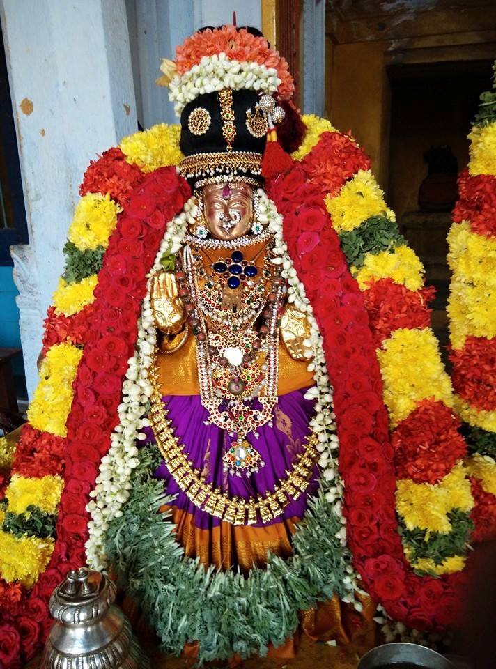 Thiruvallur_ sri veeraraghavaperumal (11)