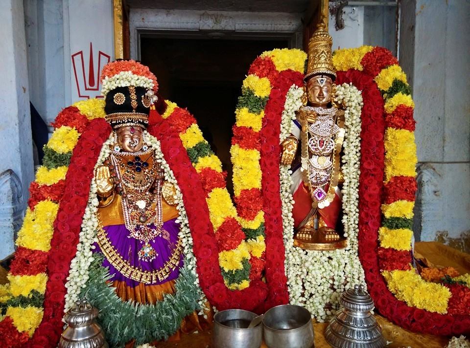 Thiruvallur_ sri veeraraghavaperumal (2)