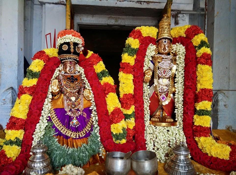 Thiruvallur_ sri veeraraghavaperumal (3)