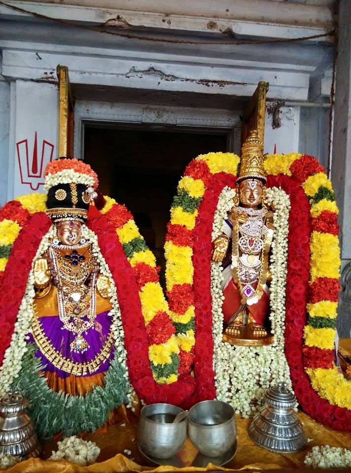 Thiruvallur_ sri veeraraghavaperumal (4)