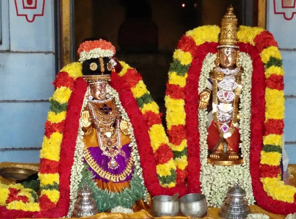 Thiruvallur_ sri veeraraghavaperumal (5)