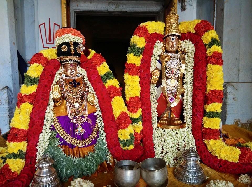 Thiruvallur_ sri veeraraghavaperumal (6)