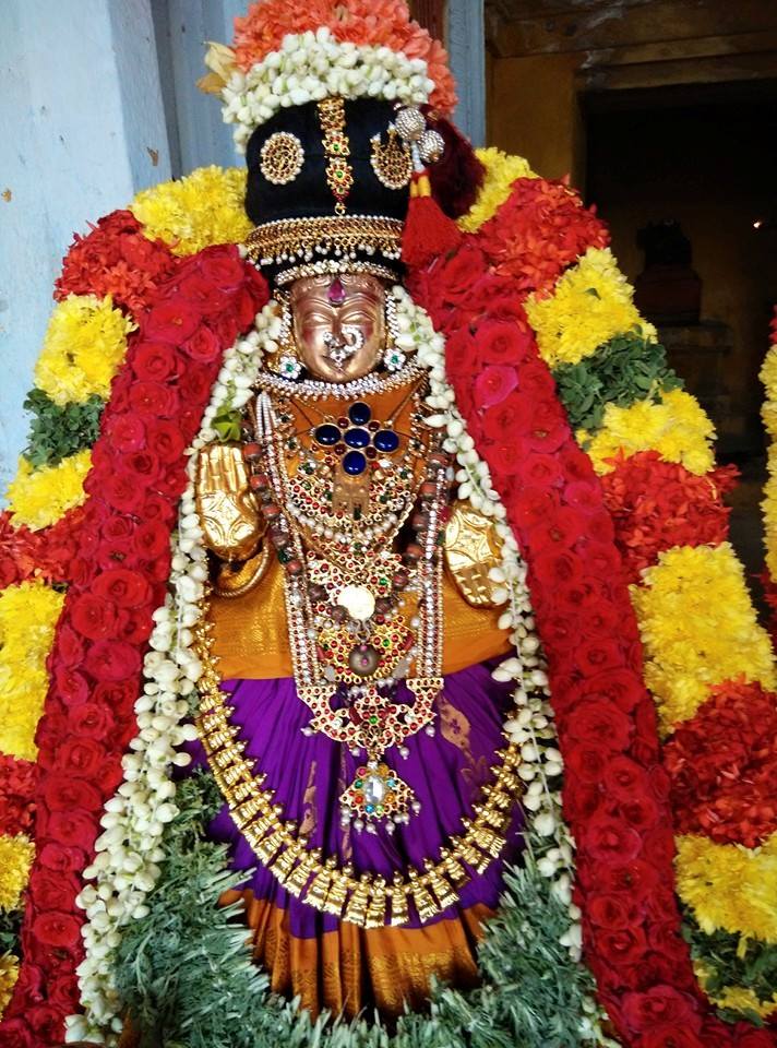 Thiruvallur_ sri veeraraghavaperumal (9)