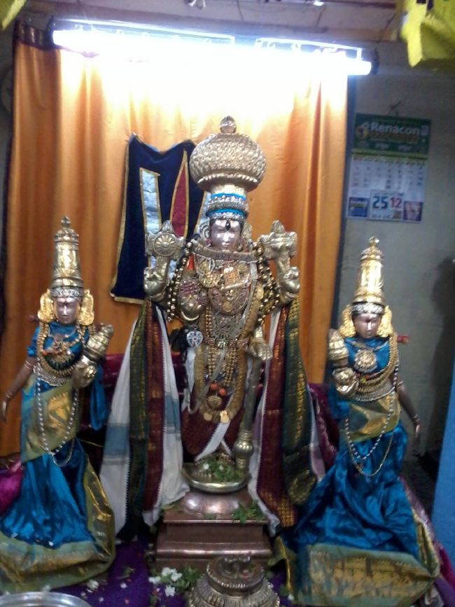 Thiruvekka Sri Yathokthakari Perumal Temple Avatara Utsavam  2015 01
