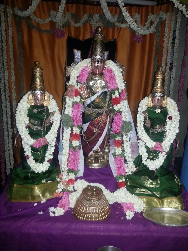Thiruvekka Sri Yathokthakari Perumal Temple Avatara Utsavam  2015 13