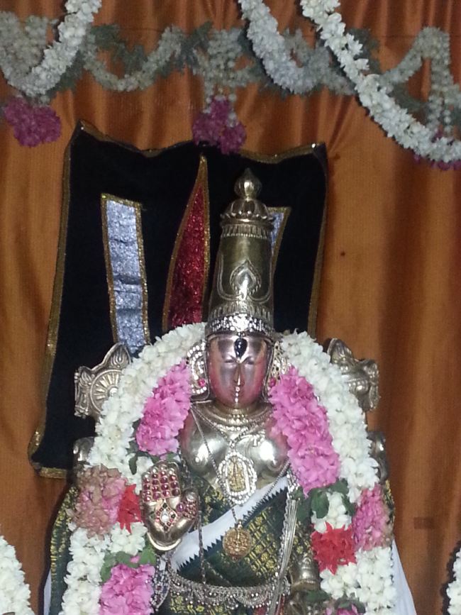Thiruvekka Sri Yathokthakari Perumal Temple Avatara Utsavam  2015 14
