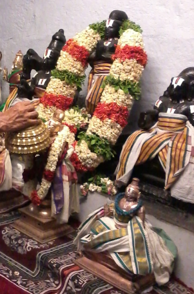 Thiruvellukai Peyazhwar Thirunachatram (12)