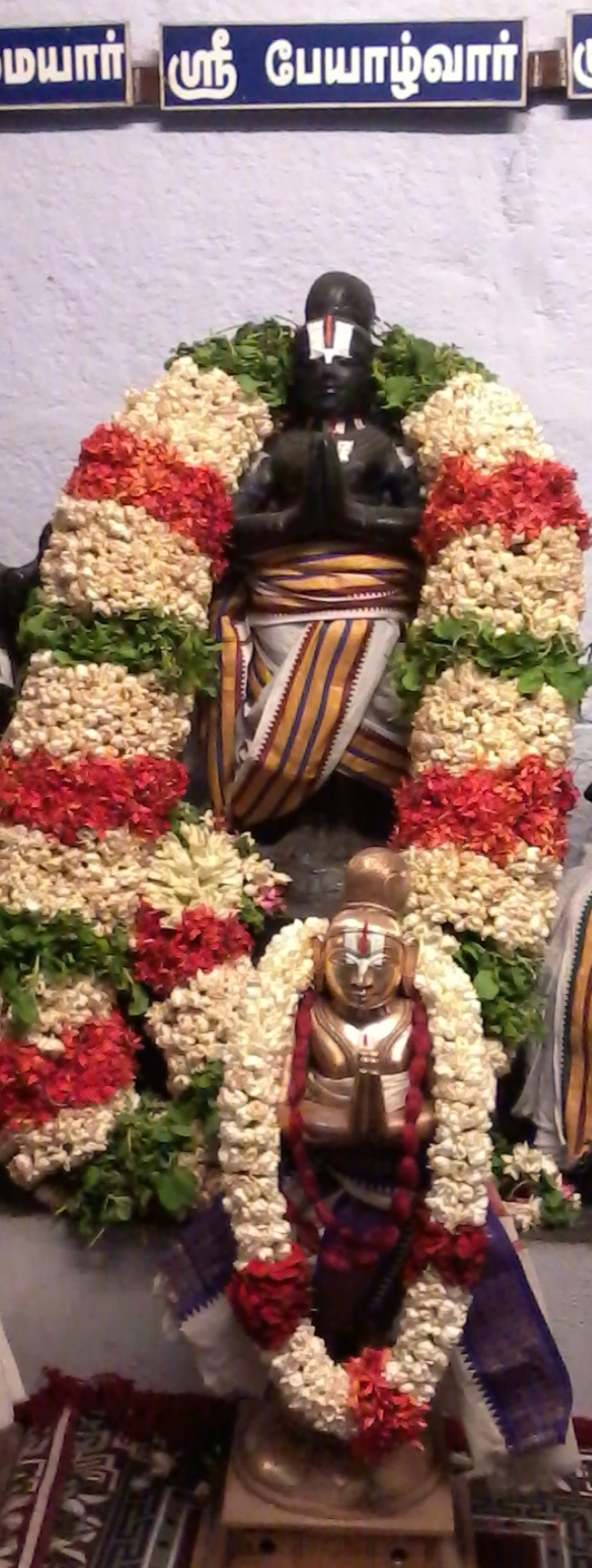Thiruvellukai Peyazhwar Thirunachatram (14)