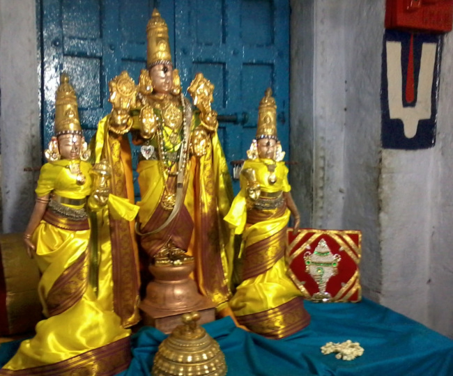 Thiruvellukai Peyazhwar Thirunachatram (6)