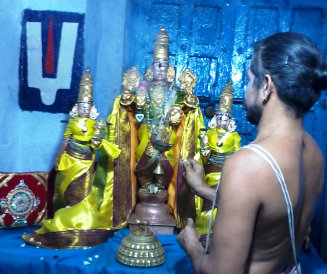 Thiruvellukai Peyazhwar Thirunachatram (9)