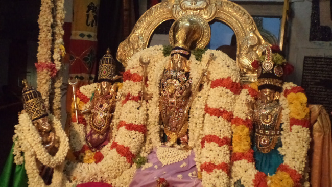 Thiruvellukai_Unjal Utsavam (7)