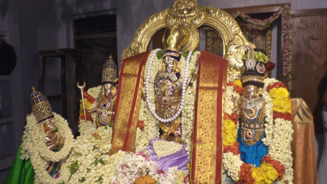 Thiruvellukai_Unjal Utsavam (9)