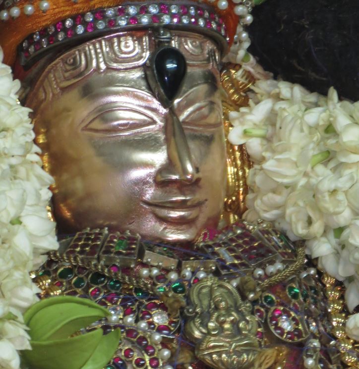 Thiruvelukkai Manmadha Varusha Purappadu 3  2015