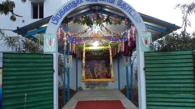 Thiruvelukkai Sri Amruthavalli Thayar Panguni Kadai Velli purappadu  2015 01