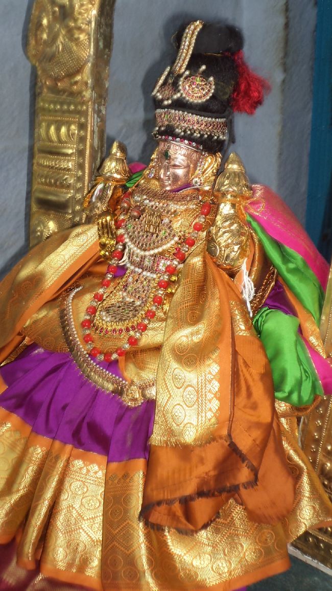 Thiruvelukkai Sri Amruthavalli Thayar Panguni Kadai Velli purappadu  2015 05