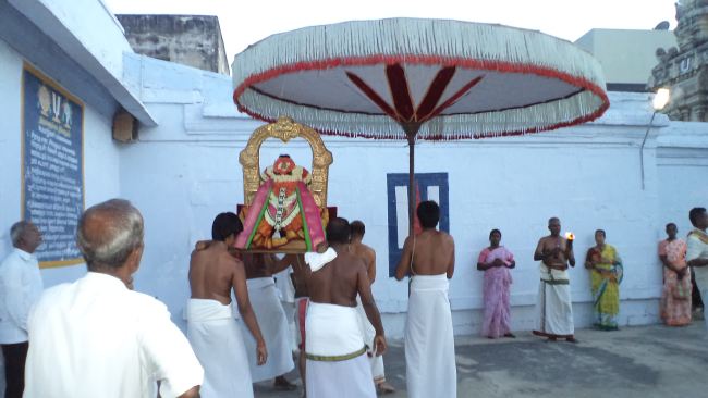 Thiruvelukkai Sri Amruthavalli Thayar Panguni Kadai Velli purappadu  2015 07