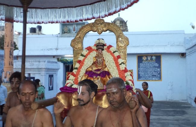 Thiruvelukkai Sri Amruthavalli Thayar Panguni Kadai Velli purappadu  2015 08