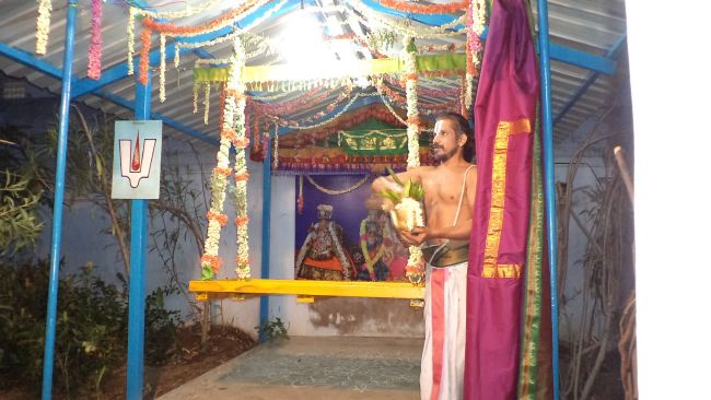 Thiruvelukkai Sri Amruthavalli Thayar Panguni Kadai Velli purappadu  2015 11