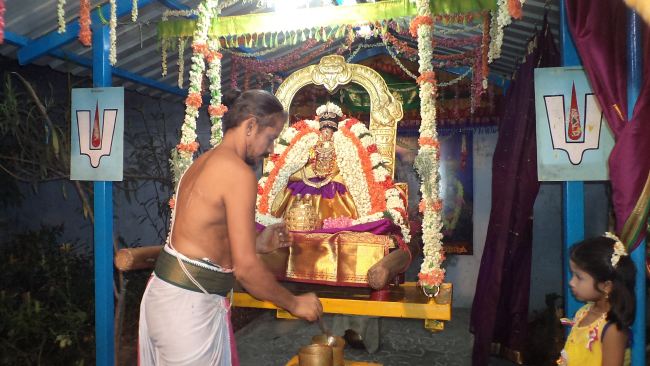 Thiruvelukkai Sri Amruthavalli Thayar Panguni Kadai Velli purappadu  2015 15