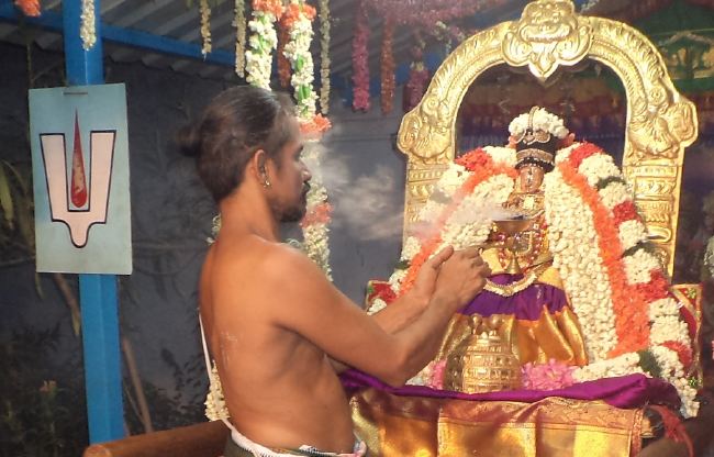 Thiruvelukkai Sri Amruthavalli Thayar Panguni Kadai Velli purappadu  2015 16