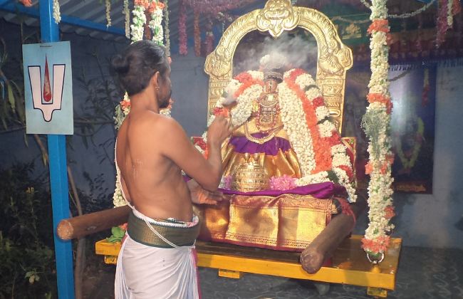 Thiruvelukkai Sri Amruthavalli Thayar Panguni Kadai Velli purappadu  2015 17