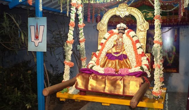 Thiruvelukkai Sri Amruthavalli Thayar Panguni Kadai Velli purappadu  2015 21
