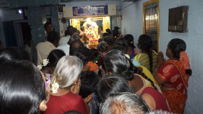 Thiruvelukkai Sri Amruthavalli Thayar Panguni Kadai Velli purappadu  2015 30