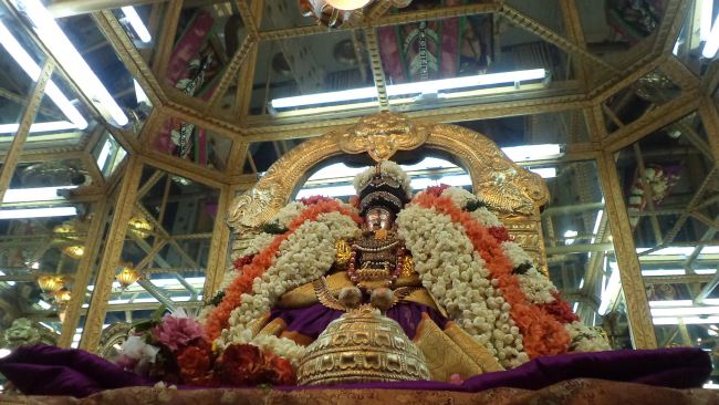 Thiruvelukkai Sri Amruthavalli Thayar Panguni Kadai Velli purappadu  2015 34