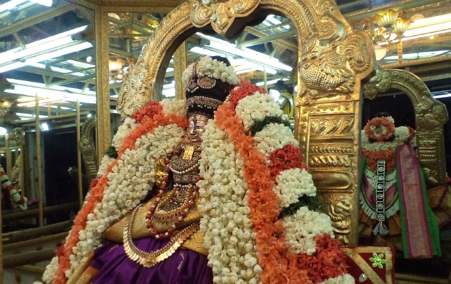 Thiruvelukkai Sri Amruthavalli Thayar Panguni Kadai Velli purappadu  2015 40
