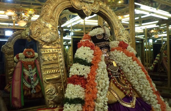 Thiruvelukkai Sri Amruthavalli Thayar Panguni Kadai Velli purappadu  2015 41