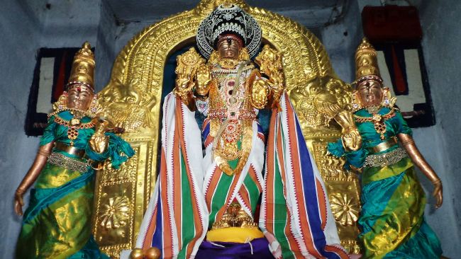 Thiruvelukkai Sri Azhagiya Singaperumal Chithirai Ammavasai thirumanjanam 2015 13