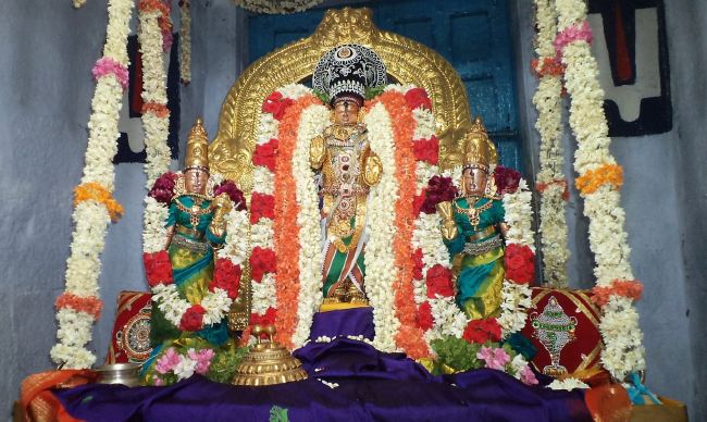 Thiruvelukkai Sri Azhagiya Singaperumal Chithirai Ammavasai thirumanjanam 2015 14