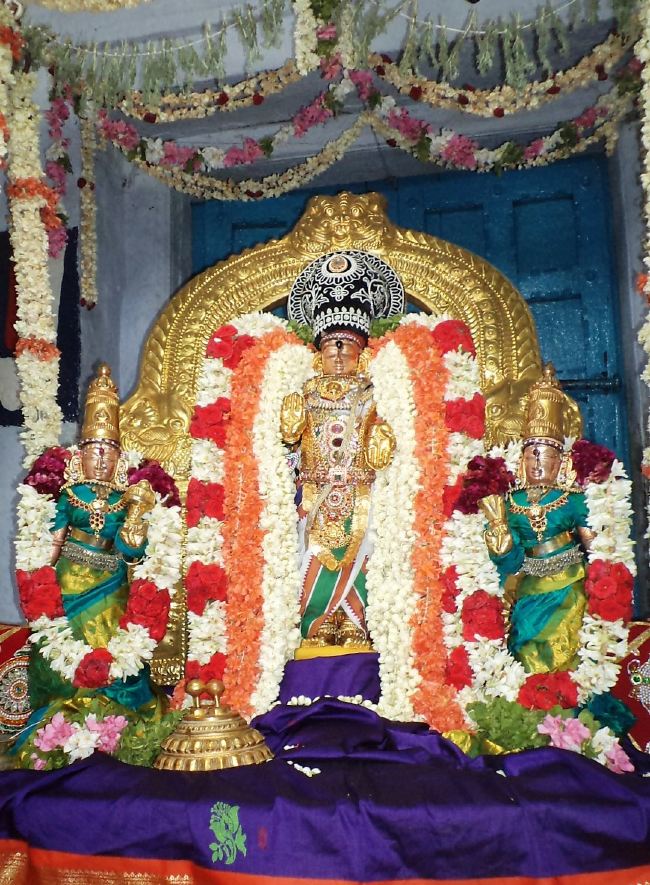 Thiruvelukkai Sri Azhagiya Singaperumal Chithirai Ammavasai thirumanjanam 2015 16