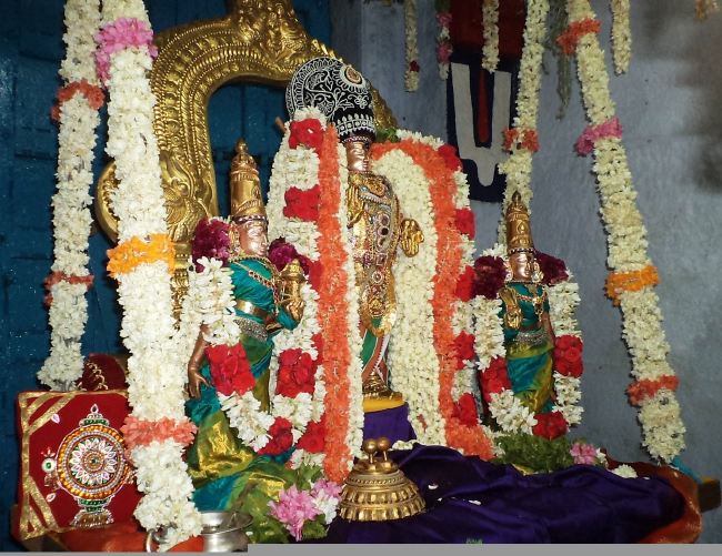 Thiruvelukkai Sri Azhagiya Singaperumal Chithirai Ammavasai thirumanjanam 2015 18