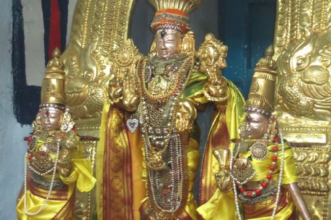 Thiruvelukkai Sri Azhagiyasingaperumal temple Manmadha varusha pirappu purappadu  2015 06