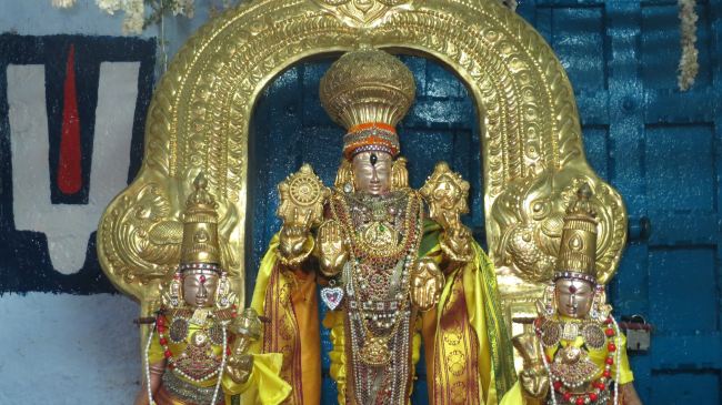 Thiruvelukkai Sri Azhagiyasingaperumal temple Manmadha varusha pirappu purappadu  2015 07