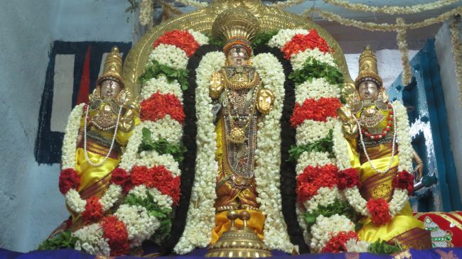 Thiruvelukkai Sri Azhagiyasingaperumal temple Manmadha varusha pirappu purappadu  2015 15